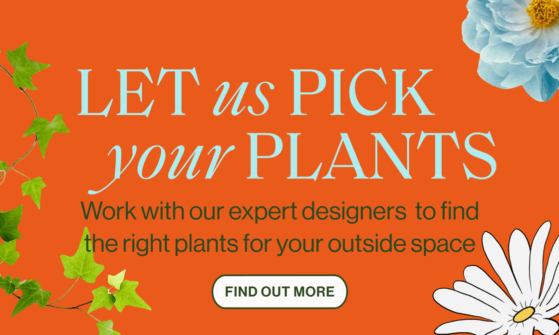 Let us pick your plants-1